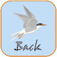 Tern Back Button - click to go to Table of Contents